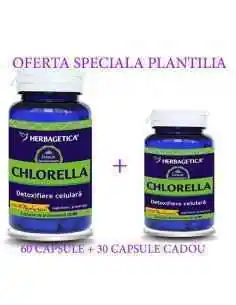 CHLORELLA 60+30 capsule CADOU Herbagetica, Terapia Diabetului