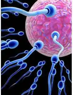 Fertilitate Femei 220g ApicolScience, REMEDII NATURISTE 2