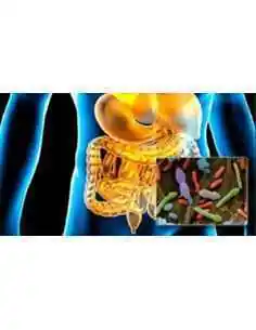 Miere Galbena - Apicol9BETA 230g ApicolScience, REMEDII NATURISTE 2