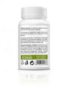 Quercetin 500mg 30 cps Zenyth, VITAMINE SI MINERALE 2