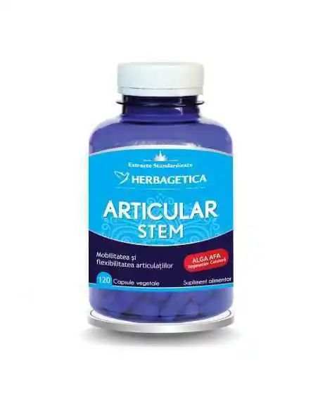Articular Stem 120 capsule Herbagetica, Sistemul nervos