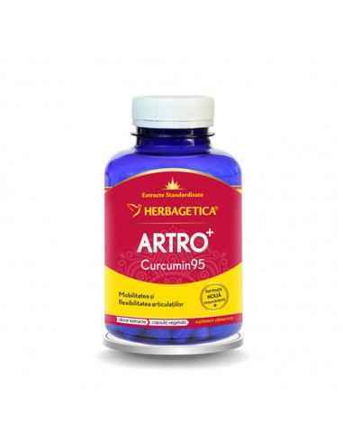 Artro+ Curcumin 95 120 capsule Herbagetica, Sistemul nervos