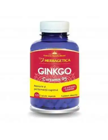 Ginkgo Curcumin 95 120 capsule Herbagetica, Tulburari Hormonale