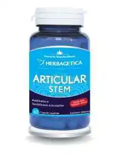 Articular Stem 60 capsule Herbagetica, Sistemul nervos
