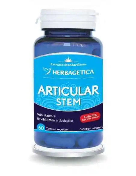 Articular Stem 60 capsule Herbagetica, Sistemul nervos
