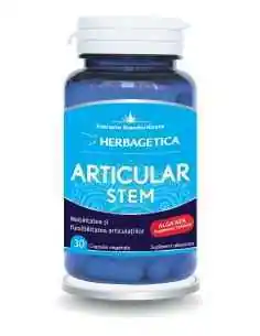 Articular Stem 30 capsule Herbagetica, Sistemul nervos