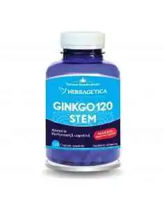 GINKGO 120 STEM 120 capsule Herbagetica, Stres