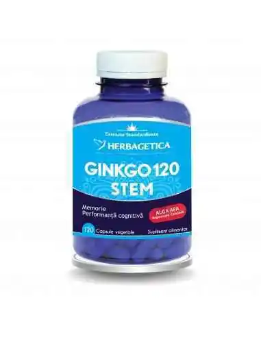 GINKGO 120 STEM 120 capsule Herbagetica, Stres