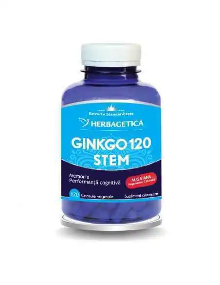 GINKGO 120 STEM 120 capsule Herbagetica, Stres