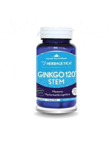GINKGO 120 STEM 30 capsule Herbagetica, Stres