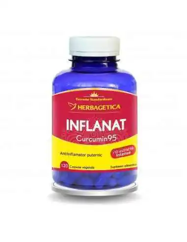 INFLANAT CURCUMIN95 120 capsule Herbagetica, Tulburari Hormonale