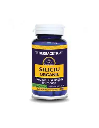 Siliciu Organic 30 capsule Herbagetica, Sanatatea pielii