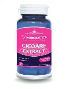 Cicoare 30 cps Herbagetica, Slabire