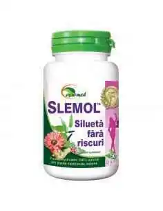 Slemol 60 tablete Ayurmed 2