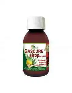 GASCURE SIROP 100 ml Ayurmed, SIROPURI