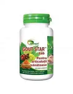 GOUT STAR articulatii sanatoase 60 tablete - Ayurmed 2