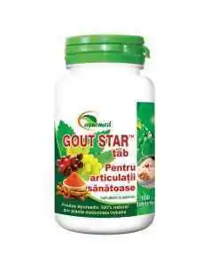 GOUT STAR articulatii sanatoase 120 tablete - Ayurmed 2
