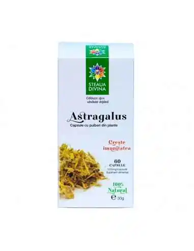 ASTRAGALUS 60 capsule Steaua Divina, Terapia Diabetului