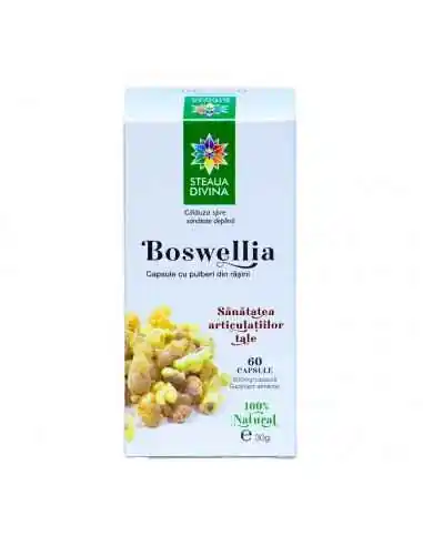 BOSWELLIA 60 capsule Steaua Divina, REMEDII NATURISTE