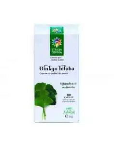 GINKGO BILOBA 60 capsule Steaua Divina, Sistemul nervos