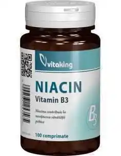 VITAMINA B3 (NIACINA) 10MG 100CPR Vitaking - Plantilia 2