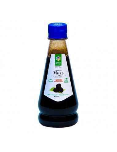 Sirop de MURE 250 ml Steaua Divina, VITAMINE SI MINERALE