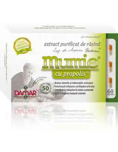 Mumie Extract Purificat de Rasina cu Propolis 60 capsule Damar, VITAMINE SI MINERALE
