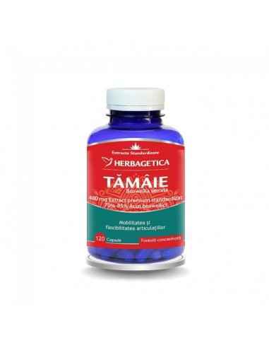 TAMAIE-BOSWELLIA SERRATA 120 CPS Herbagetica, VITAMINE SI MINERALE