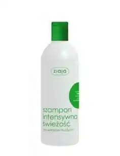 Sampon cu menta, octopirox si urzica - par gras 400 ml ZIAJA, UNGUENTE/CREME/GELURI