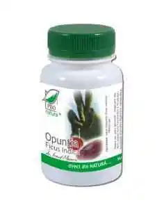 Opuntia Ficus Indica 60 capsule Pro Natura, Terapia Diabetului