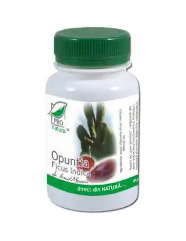 Opuntia Ficus Indica 60 capsule Pro Natura, Terapia Diabetului