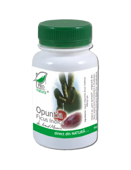 Opuntia Ficus Indica 60 capsule Pro Natura, Terapia Diabetului