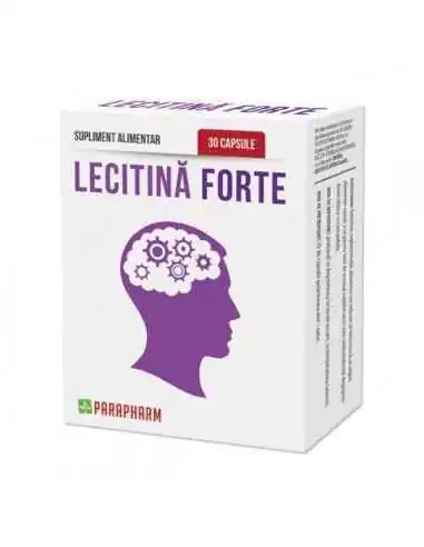 Lecitină Forte 1+1 Gratuit Parapharm, Sistemul nervos