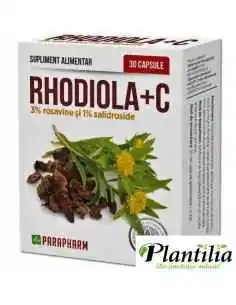 Rhodiola + C 30 cps Parapharm, Sistemul nervos