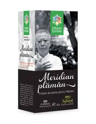 Meridian Plaman 60 cps Steaua Divina, Sistemul nervos