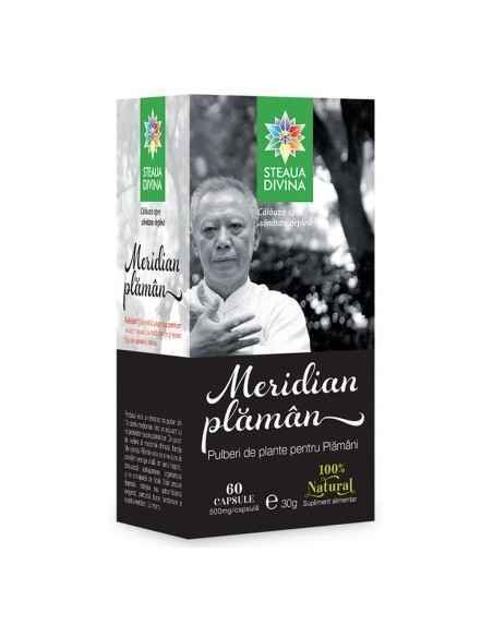 Meridian Plaman 60 cps Steaua Divina - Plantilia