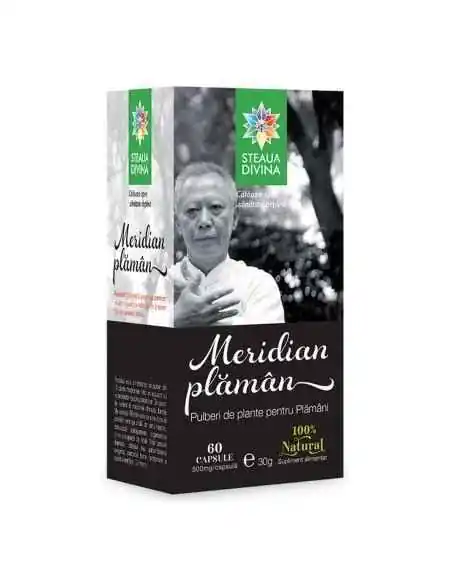 Meridian Plaman 60 cps Steaua Divina, Sistemul nervos