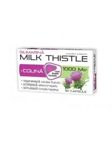 MILK THISTLE + COLINA 30CPS Zdrovit, REMEDII NATURISTE