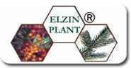Elzin Plant
